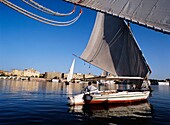 Feluccas Sailing Along The Nile