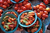 Chilis und Tomaten auf dem Markt von Nadi, Nahaufnahme