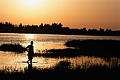 Mann watet bei Sonnenuntergang durch den Nil
