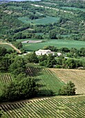 Bauernhof-Landschaft