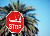 Stop Sign In Front Of Date Palm