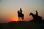 Horseriding In Vereinigte Arabische Emirate.