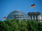 Reichstag Above Trees Of Tiergarten Park