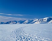 Schneebedeckte Landschaft des Uummannaq Fjordes