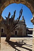 Historic Cypress In Moni Arkadi Monastery