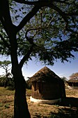 Round Grass Huts In Rural Village