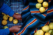 Zitronen und traditionell gewebte Tücher auf dem Markt, Nahaufnahme