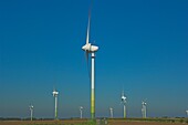 Wind Turbines In Wind Farm