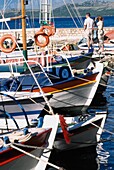 Boats In Harbor