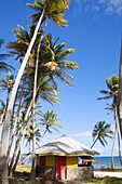 Strandhütte zwischen Palmen am Strand