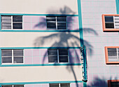 Schatten einer Palme auf einem Gebäude am Ocean Drive, South Beach