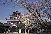 Hiroshima Castle und Kirschblüten im Frühling