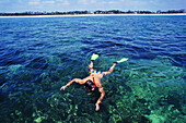 Snorkeling From Tiwi Beach