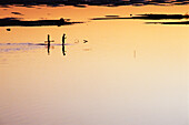 Zwei Jungen gehen bei Sonnenuntergang am Mekong-Ufer entlang