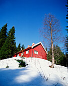 Rotes nordisches Holzhaus auf verschneitem Hügel, tiefer Blickwinkel