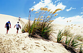Tourists Climbing Dunes With Surfboards On Ninety Mile Beach