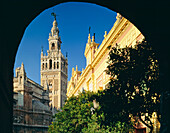 Blick durch den Torbogen zum Turm, Giralda