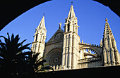 Kathedrale von Palma und Palme