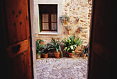 Courtyard And Plants Seen Through Doorway