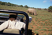 Mann im Safari-Jeep betrachtet ein Nashorn