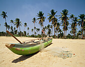Outrigger Canoes And Palm Trees Near The Beach, Trincomalee District