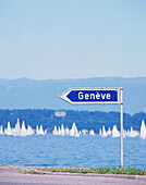 Geneva Road Sign And Bol D'or Sailing Regatta On Lake Leman