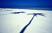 Schatten von Palmen am weißen Sandstrand