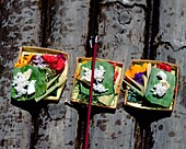 Essen, Blumen, Weihrauch Opfer in Ubud, Bali