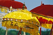 Yellow And Red Parasols On The Beach For Balinese New Year
