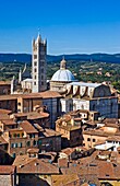 Blick über Siena mit Duomo