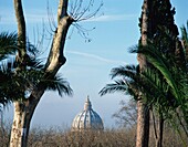 Dome Of St. Peters Basilica As Seen From Passagi Del Gianicolo