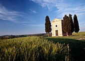 Cypress Trees Beside Small Chapel At Dusk Near San Quirico D'orcia