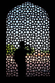 Silhouette eines Touristen, der neben dem Steingrill im Humayun-Grab fotografiert