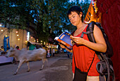 Female Backpacker Reading Guidebook With Cow Passing At Dusk