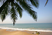 Leerer Strand an der Malabarküste