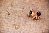 Indian Family Sitting On Bench By Two Sleeping Dogs, Aerial View