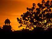 Baum und Kuppel Silhouette bei Sonnenuntergang