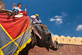 Mahout und Tourist auf Elefant im Amber Fort, Seitenansicht