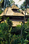 Traditionelles balinesisches Haus mit Palmen im Vordergrund