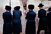 Orthodox Jews Praying At Wailing Wall