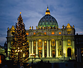 Christmas Tree And St Peter's Basilica