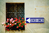 Window With Geraniums And Sign