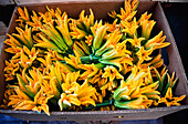 Courgette Flowers In Box At Market