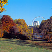 London Eye und Whitehall vom St. James's Park aus