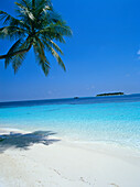 View Of Island And Palm Trees