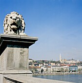 Lion On Chain Bridge Over River Danube, Matyas Church