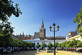 Seville Cathedral And Courtyard