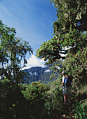 Tourist schaut durch eine Lücke in den Bäumen auf die Hänge des Mt Meru
