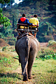 Elefant mit Touristen im Pong Yang Elefantencamp im Mae Sa Dschungel