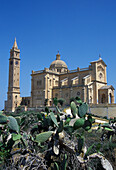 Ta Pinu Basilica And Cacti